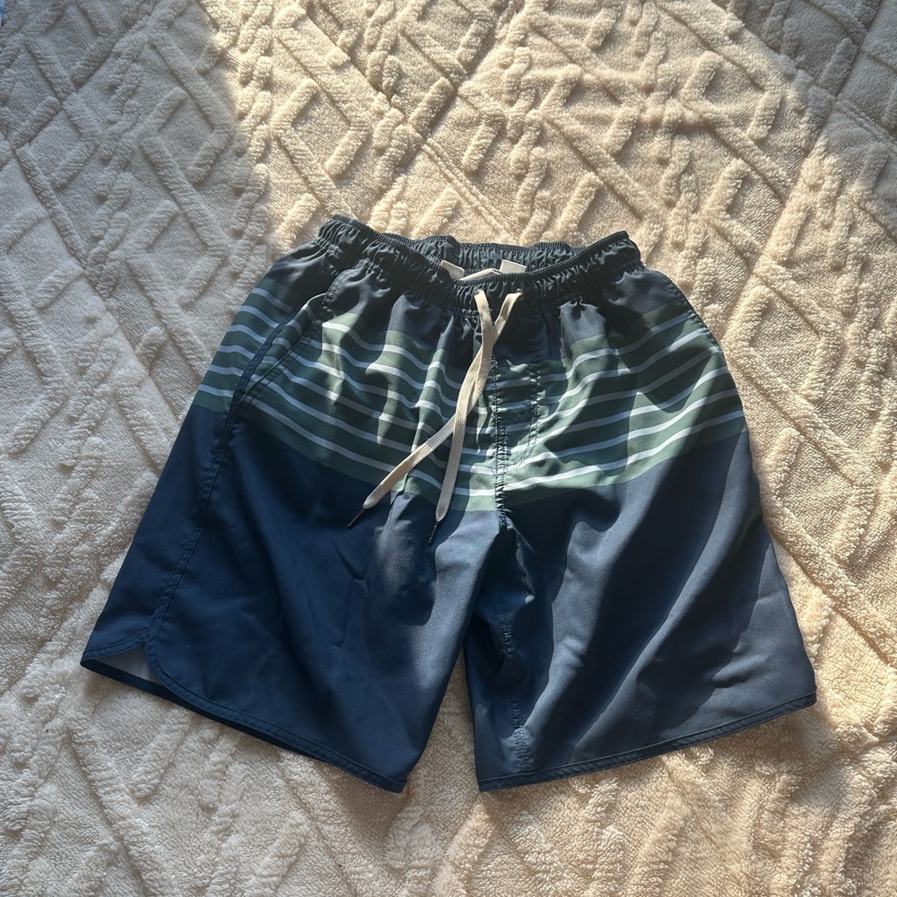 Fair Harbor Navy Swim Board Shorts with Green Stripes